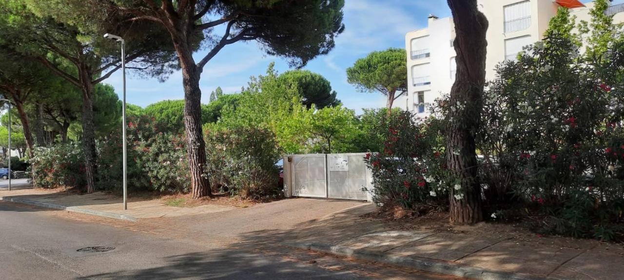 T 2 Mottland 300 M Plage La Grande Motte Extérieur photo